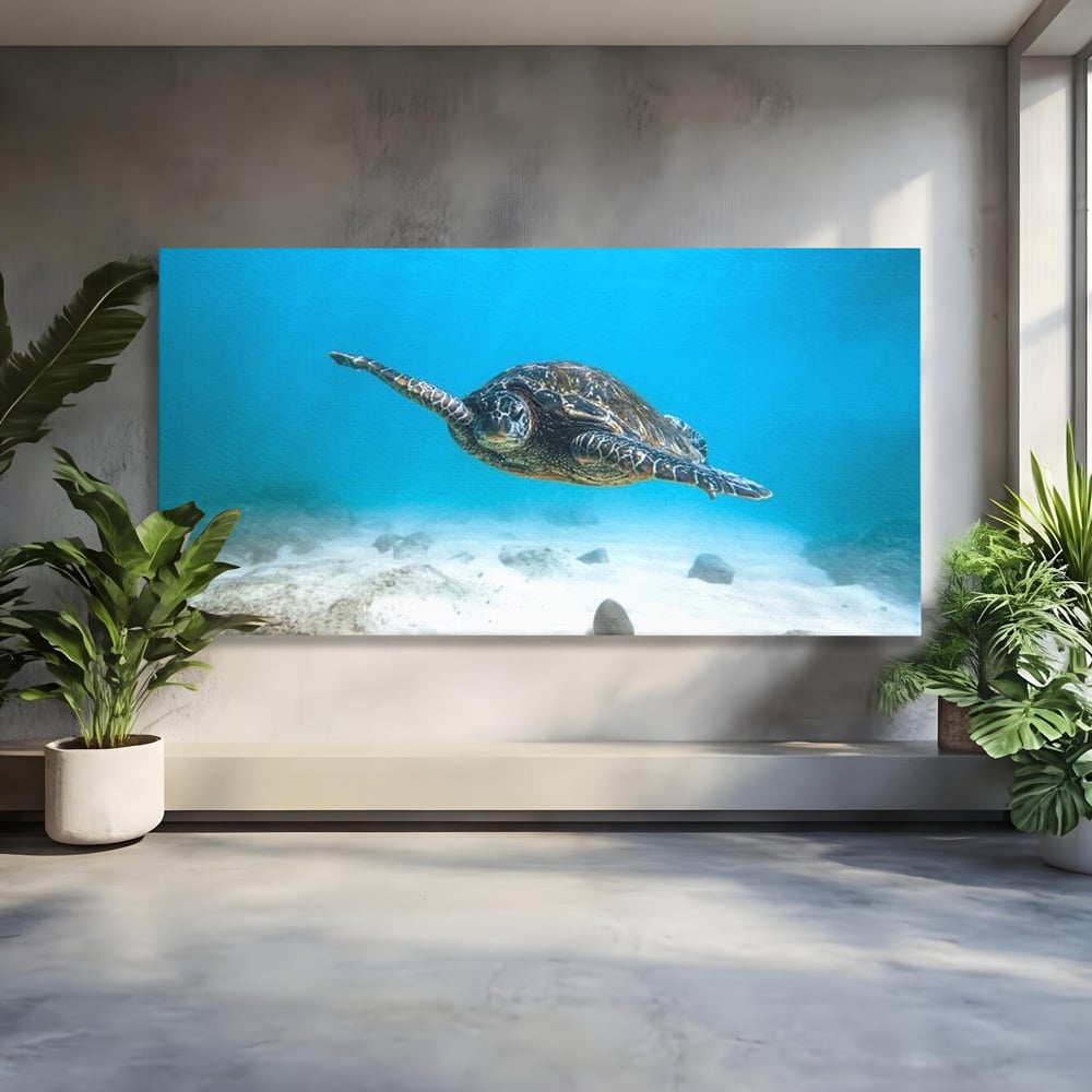 Tablou canvas cu tablou canvas cu testoasa marina, fara rama, pe sasiu de lemn